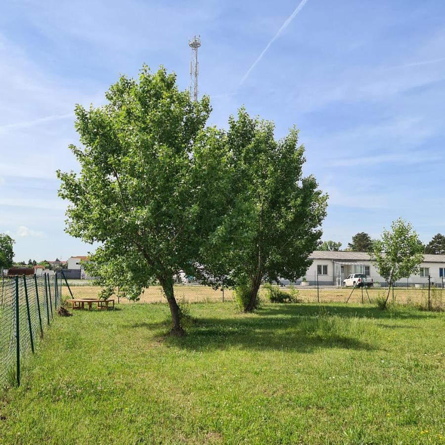 Villa Tiny House à Neusiedl an der Zaya Extérieur photo